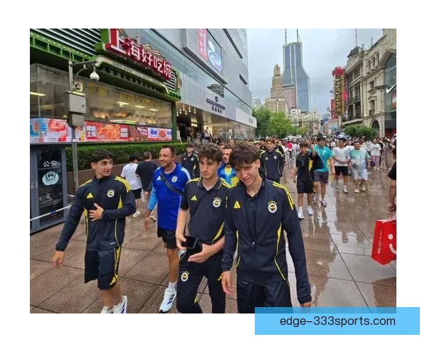 费内巴切俱乐部辉煌历程与未来发展战略全面解析